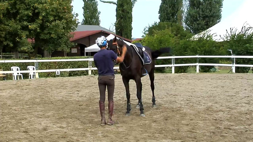 Cavallo impaurito dall'uomo